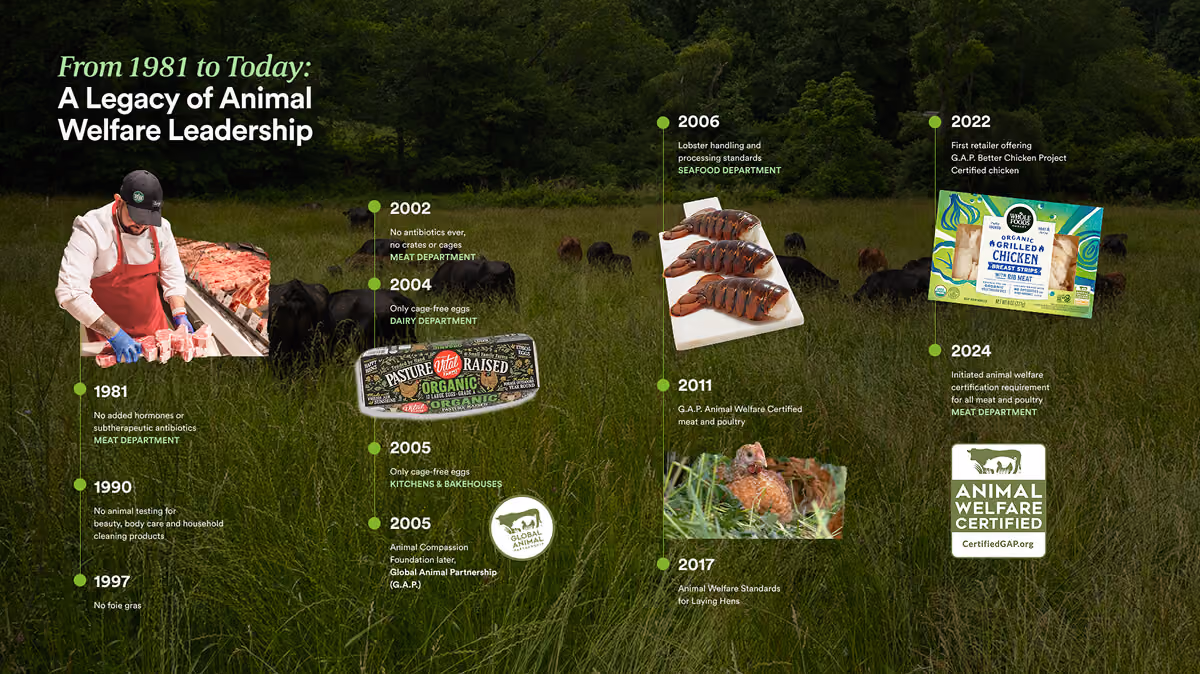 Timeline of animal welfare leadership milestones from 1981 to 2024 with related images and text details.