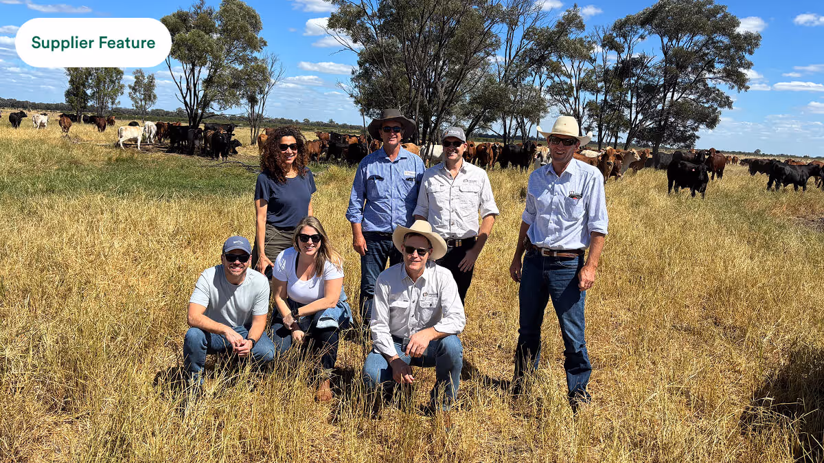 Group of seven people posing in a dry grassy field with cows and trees under a blue sky.