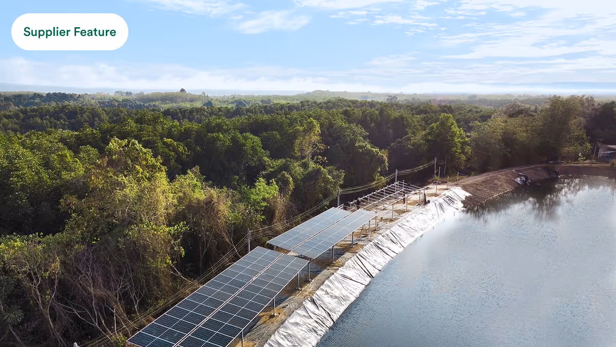 Solar panels installed beside a large water body with a dense forest in the background.