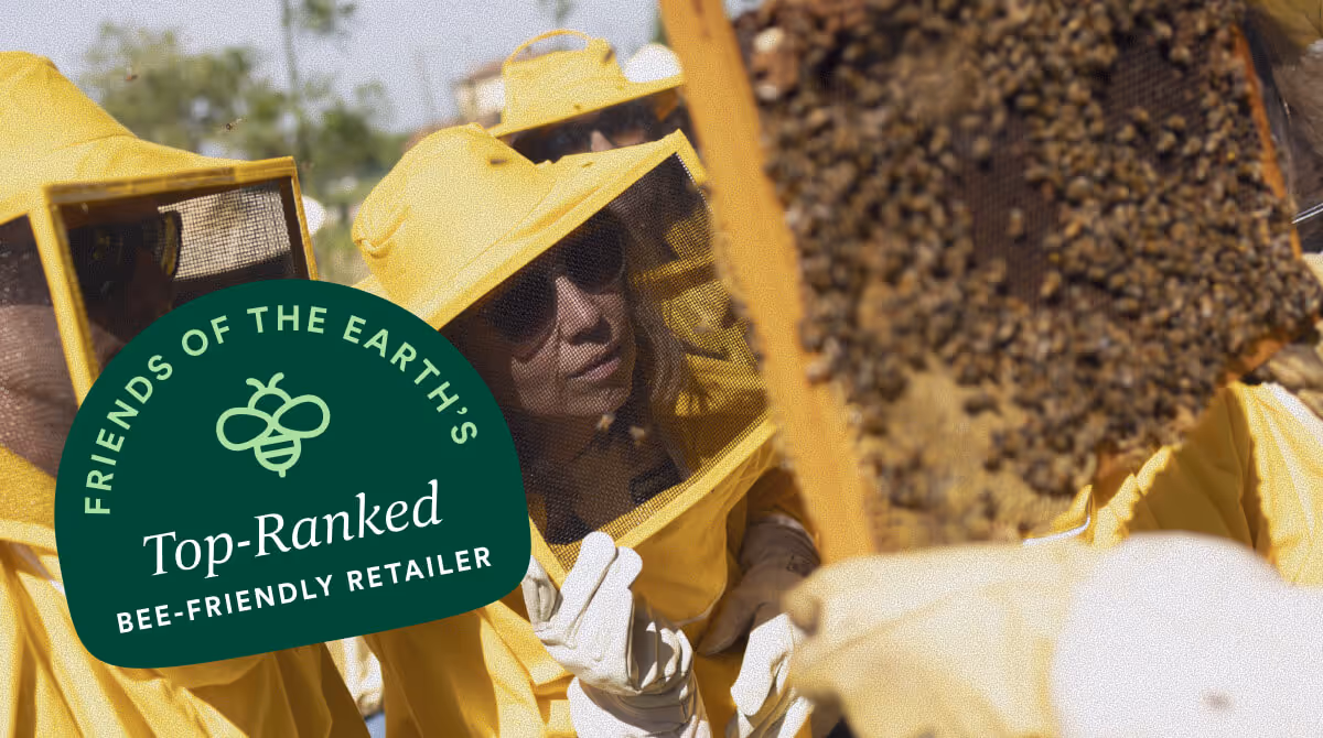 Beekeepers in yellow suits inspecting a honeybee frame covered with bees outdoors.