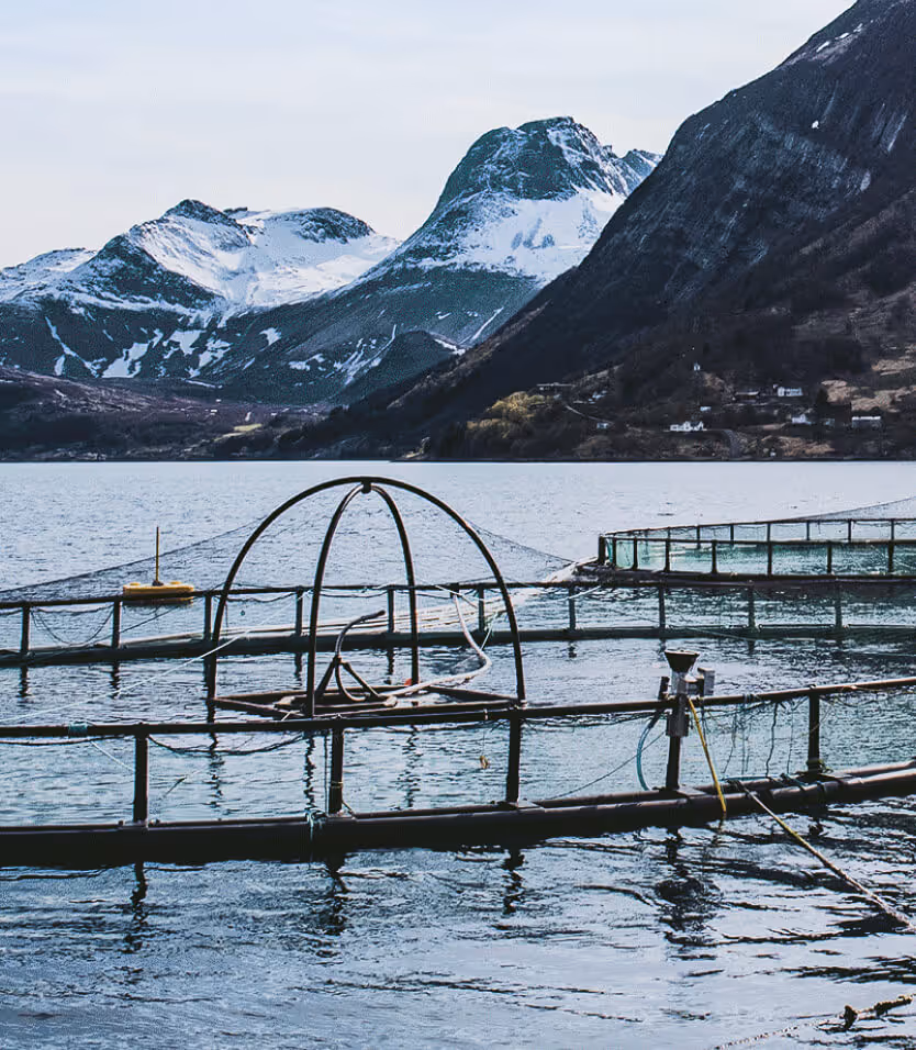 Fish farm cages on a cold mountain lake with snow-capped peaks in the background.